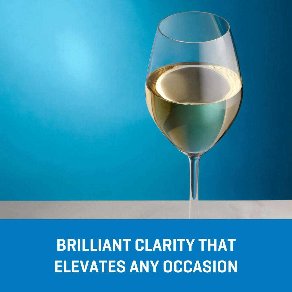 Ocean Glass Sondria White Wine Glasses (4-pieces), 14-ounce, Dishwasher Safe image 3